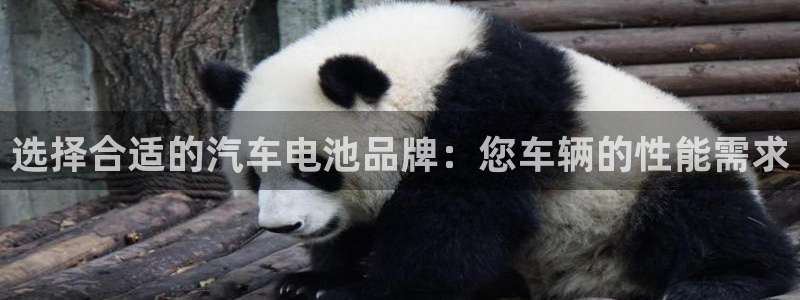 优发国际平台g80