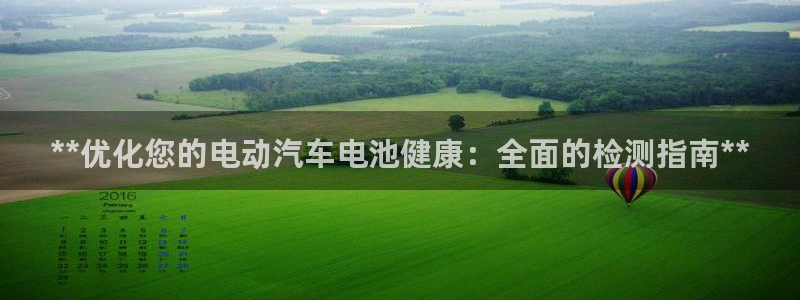 优发国际官网是多少：**优化您的电动汽车电池健康：全面的检测指南**