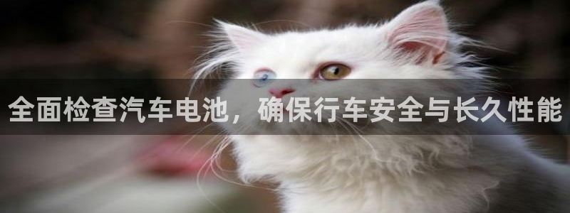 优发国际手机app下载安装苹果：全面检查汽车电池，确保行车安全与长久性能