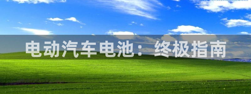 优发国际app登录不了：电动汽车电池：终极指南