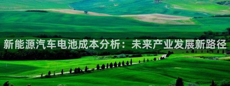 优发国际手机登录下载安装：新能源汽车电池成本分析：未来产业发展新路径