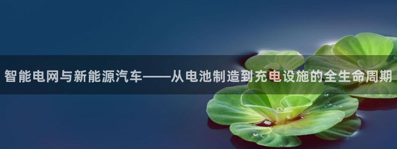 优发国际平台g8怎么样：智能电网与新能源汽车——从电池制造到充电设施的全生命周期