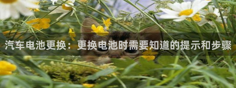 优发国际平台u8怎么样可靠吗：汽车电池更换：更换电池时需要知道的提示和步骤