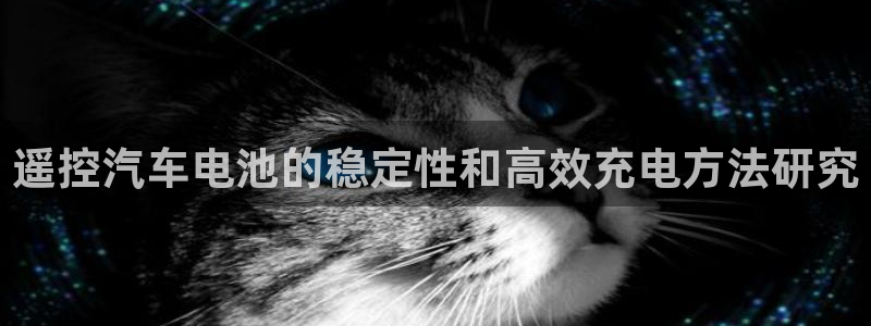 优发国际首页官网：遥控汽车电池的稳定性和高效充电方法研究