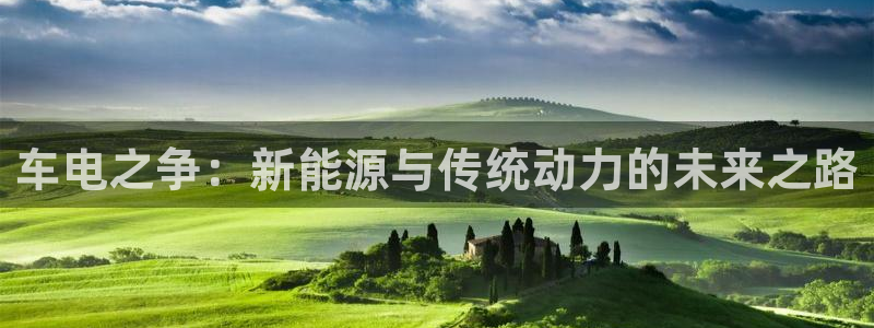 优发国际平台18：车电之争：新能源与传统动力的未来之路