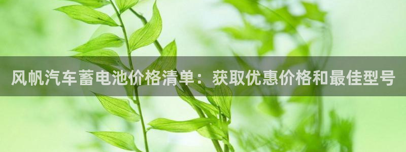 优发国际提现不了：风帆汽车蓄电池价格清单：获取优惠价格和最佳型号