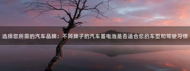 优发国际官网：选择您所需的汽车品牌：不同牌子的汽车蓄电池是否适合您的车型和驾驶习惯