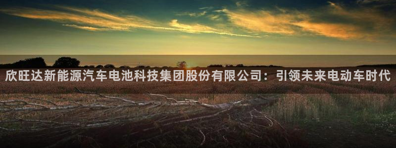 优发娱乐国际线上