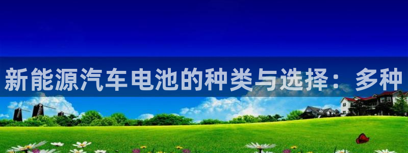 优发国际软件下载官网：新能源汽车电池的种类与选择：多种