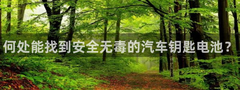 优发国际平台18：何处能找到安全无毒的汽车钥匙电池？