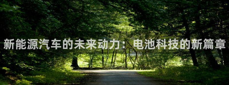 优发国际平台app下载：新能源汽车的未来